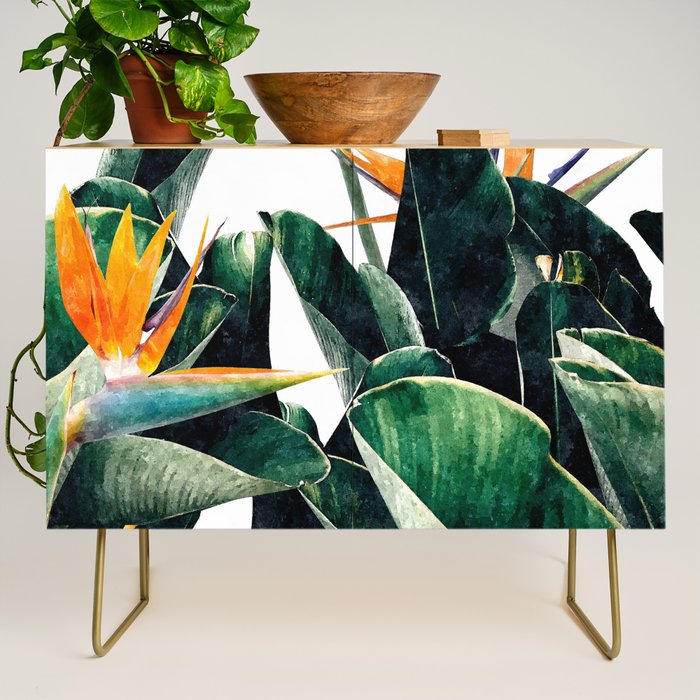 Paradise Bird, Nature Botanical Plant Floral, Tropical Garden Watercolor Painting Credenza