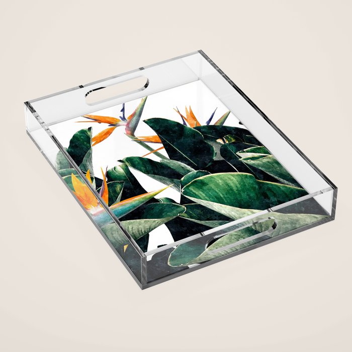 Paradise Bird, Nature Botanical Plant Floral, Tropical Garden Watercolor Painting Acrylic Tray