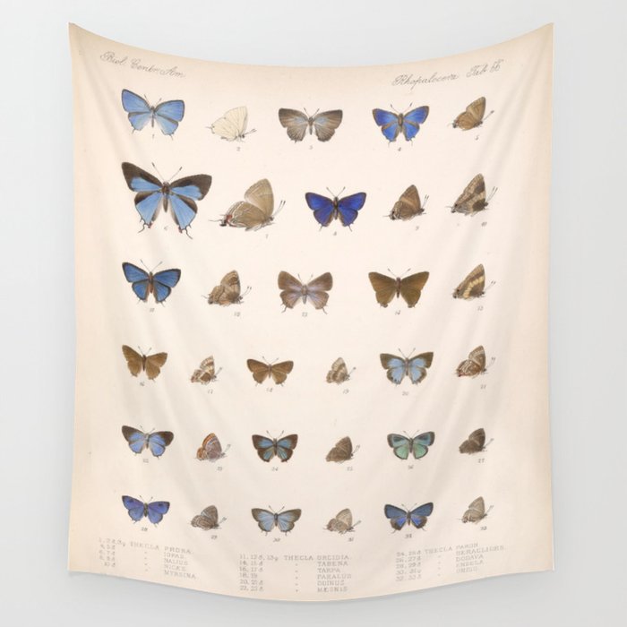 Vintage Hand Drawn Scientific Illustration Insects Butterfly Anatomy Colorful Wings Wall Tapestry
