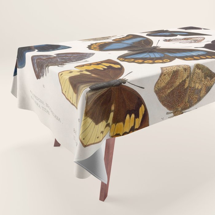 Vintage Scientific Insect Butterfly Moth Biological Hand Drawn Species Art Illustration Tablecloth