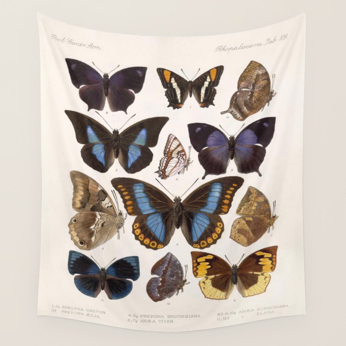 Vintage Scientific Insect Butterfly Moth Biological Hand Drawn Species Art Illustration Wall Tapestry