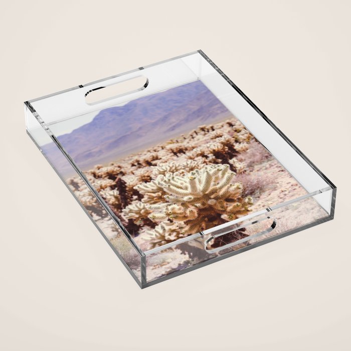 Chollo Cactus Garden - Joshua Tree Acrylic Tray