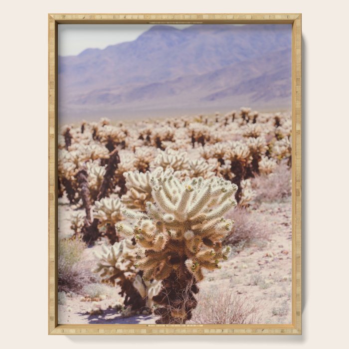 Chollo Cactus Garden - Joshua Tree Serving Tray