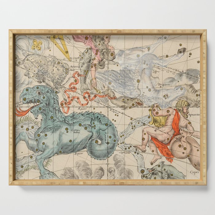 Vintage Celestial & Astrological Map  (1693) Serving Tray