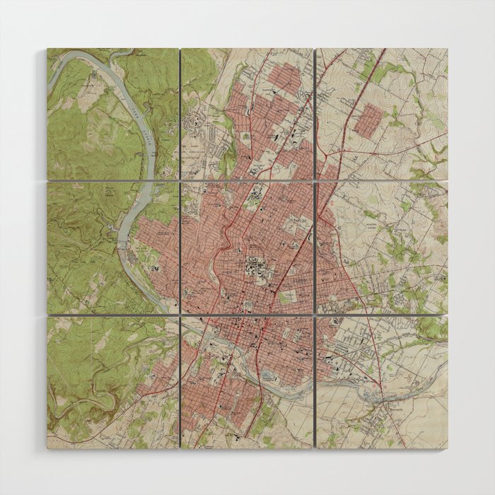 Vintage Map Of Austin Texas (1955) Wood Wall Art