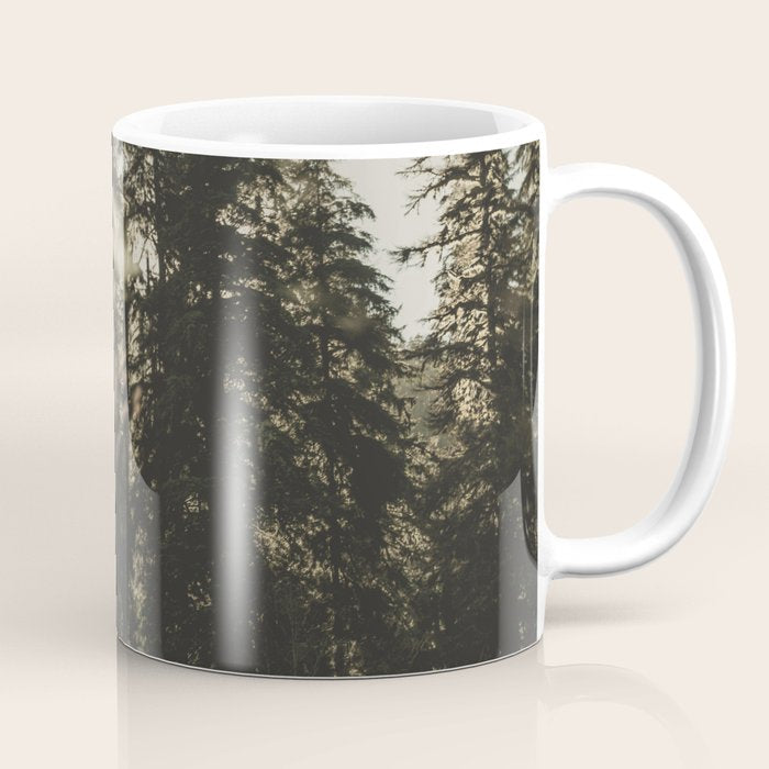 Sunset In The Woods - Nature Photography Coffee Mug