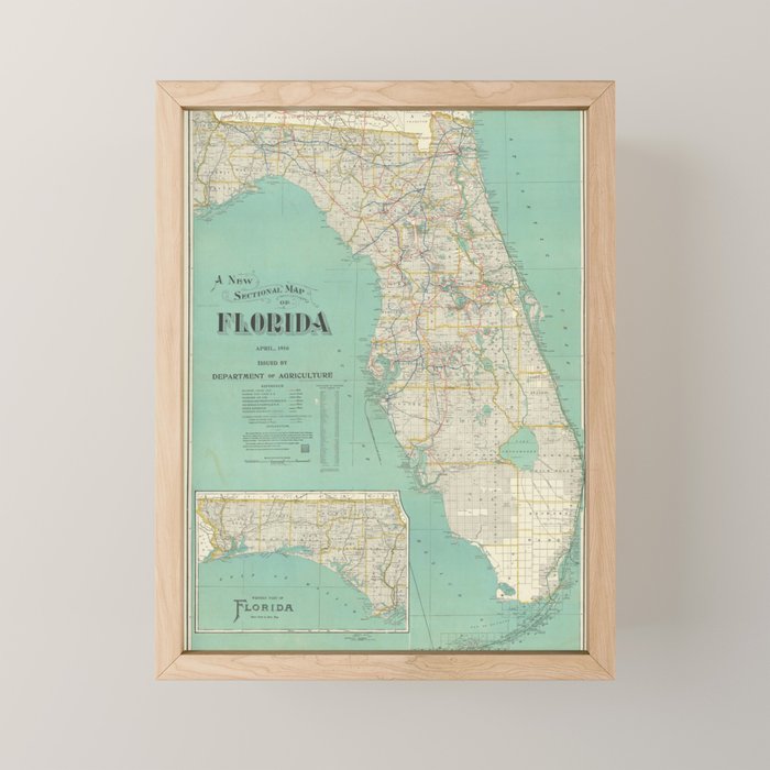 Vintage Florida Map (1916) Mini Art Print