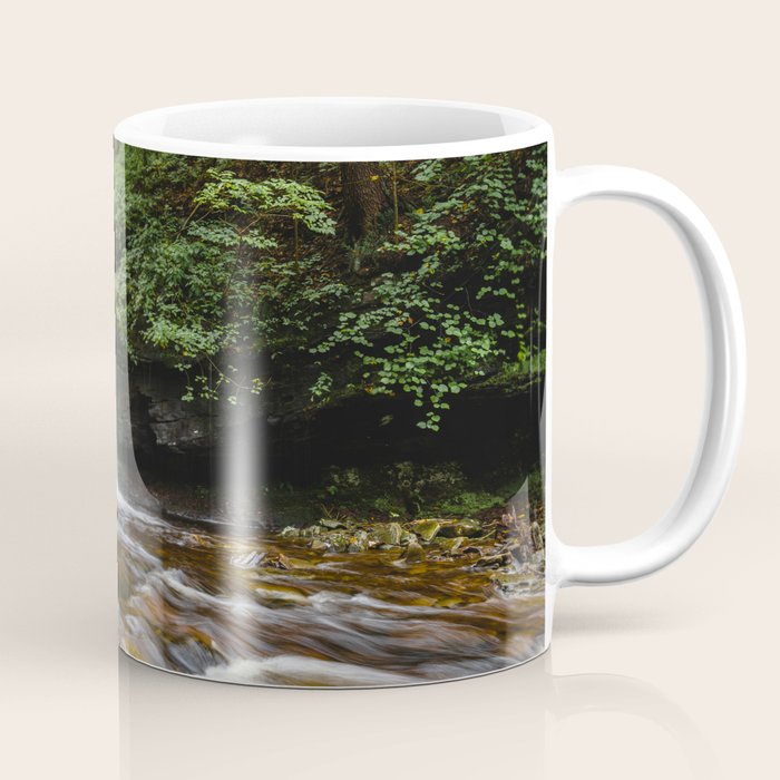 Appalachian Waterfall Vii - Ricketts Glen Adventure Coffee Mug