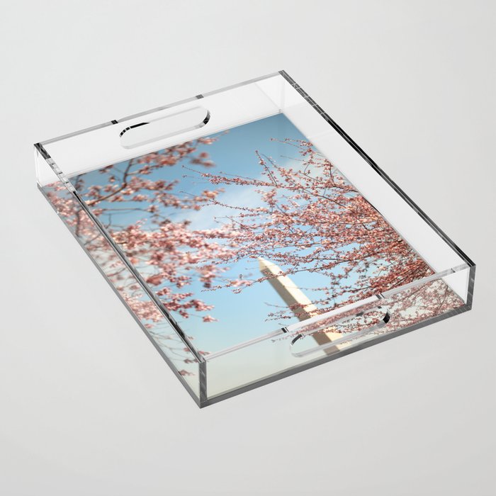 Washington Dc Cherry Blossoms Acrylic Tray