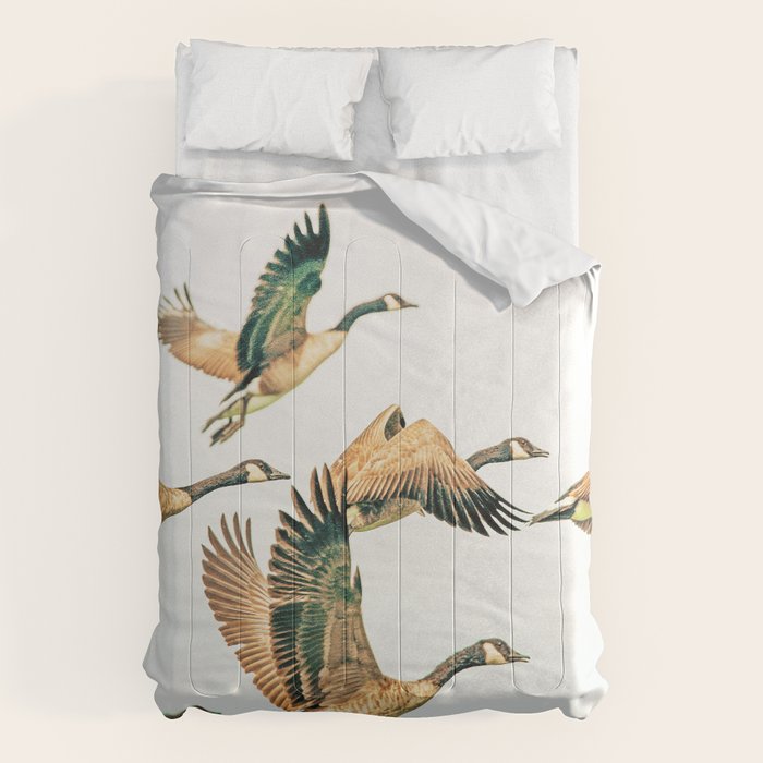Fly Away || #Photography #Birds Comforter