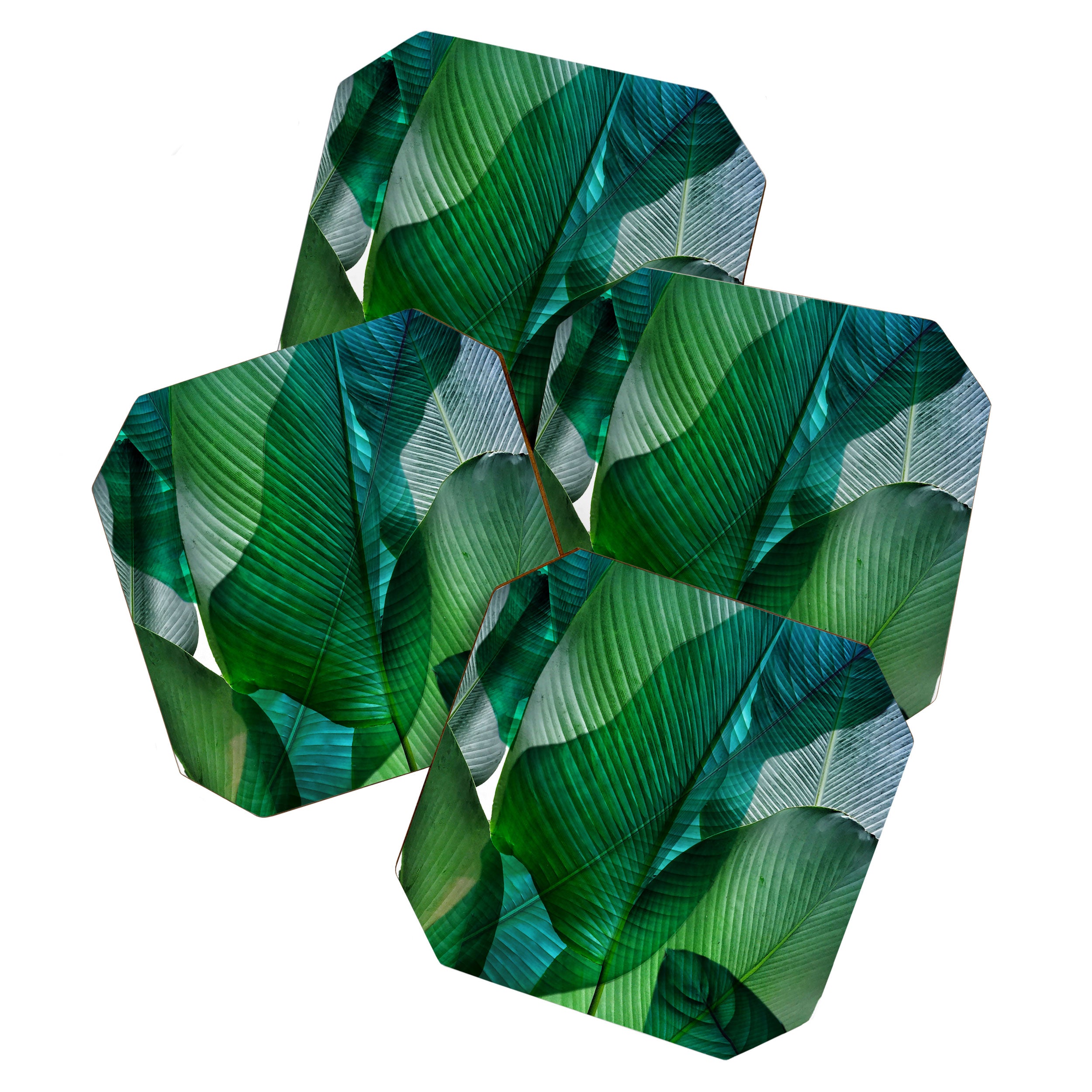 Palm Leaf Jungle Bali Banana Palm Frond Greens Coaster