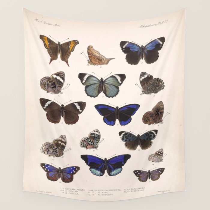 Vintage Hand Drawn Scientific Illustration Insects Butterfly Anatomy Colorful Wings Wall Tapestry