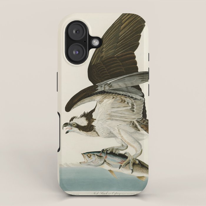 Osprey - John James Audubon'S Birds Of America Print Iphone Case