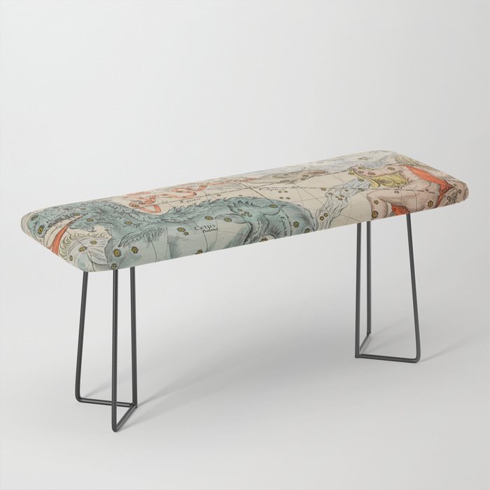 Vintage Celestial & Astrological Map  (1693) Bench