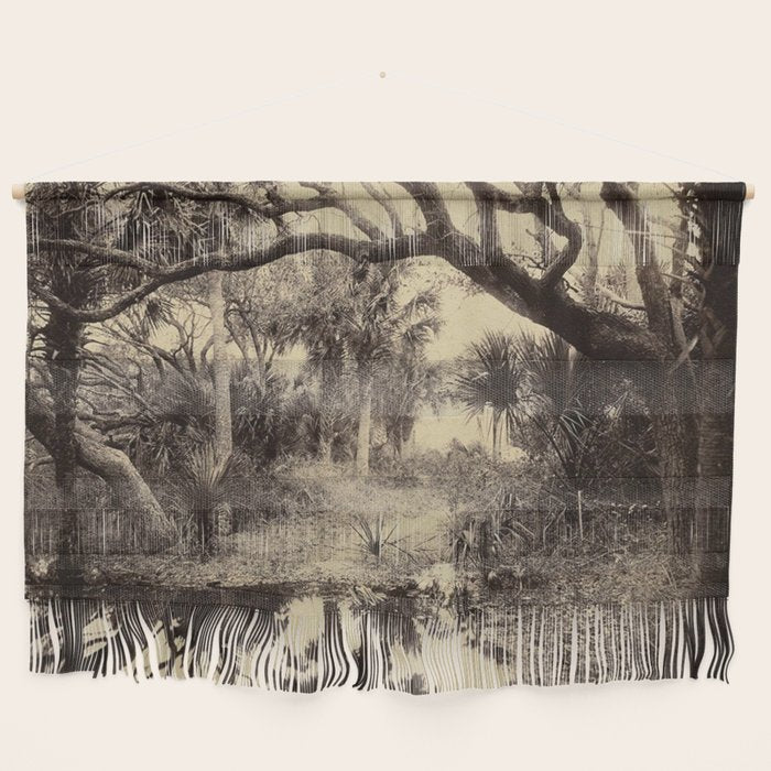 Live Oaks And Palmetto Everglades Florida 1886 - Vintage Photo By George Barker Wall Hanging