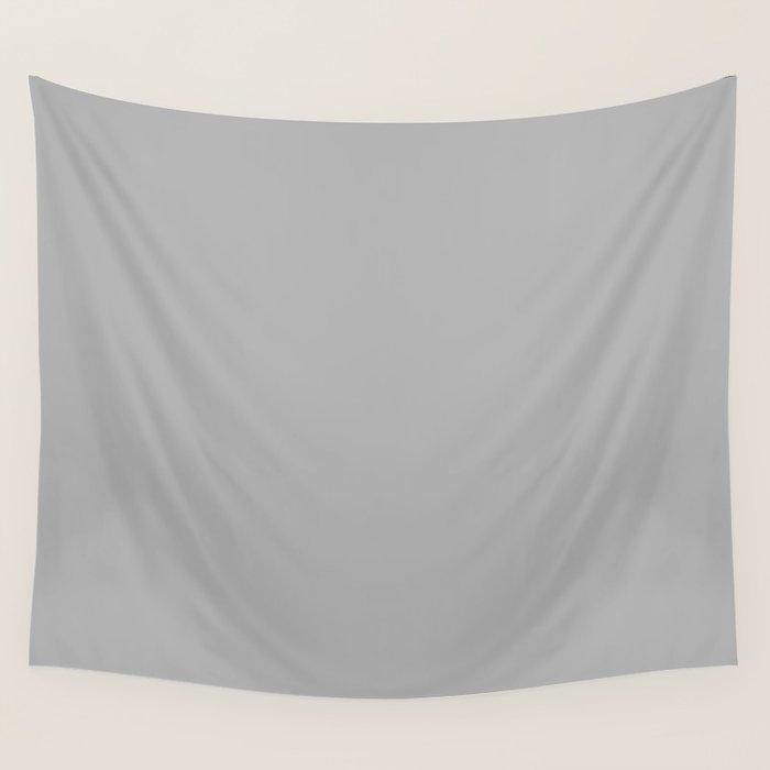 Light Gray Solid. Silver Minimalism Wall Tapestry