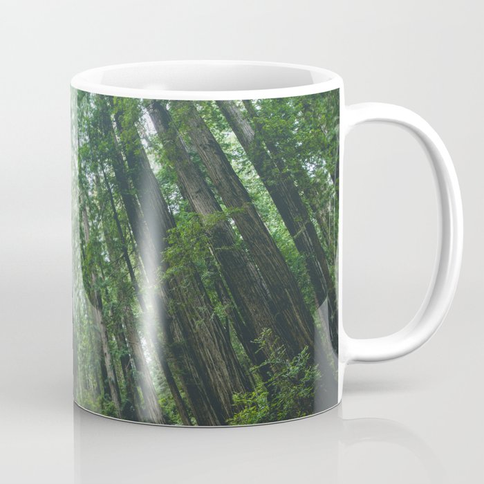 Redwood Forest Adventure Iv - National Parks Nature Photography Coffee Mug