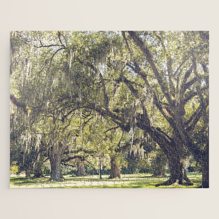 Audubon Park - New Orleans Jigsaw Puzzle