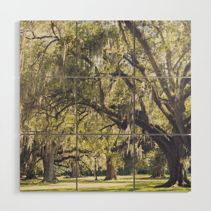 Audubon Park - New Orleans Wood Wall Art