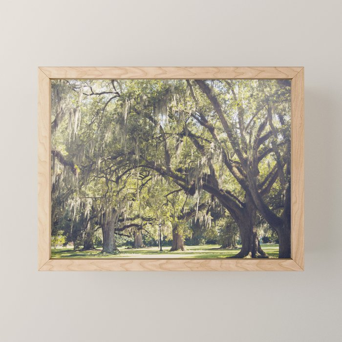Audubon Park - New Orleans Mini Art Print