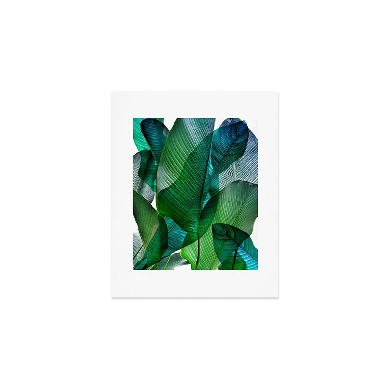 Palm Leaf Jungle Bali Banana Palm Frond Greens Art Print